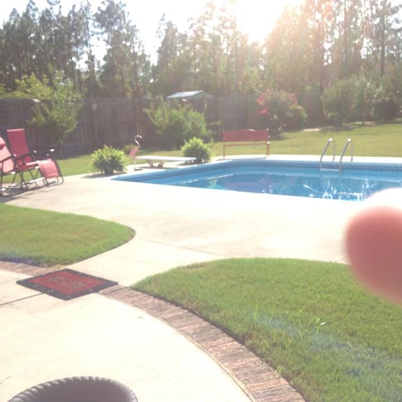 Meet your Posher, Dot - Picture 1 of 1